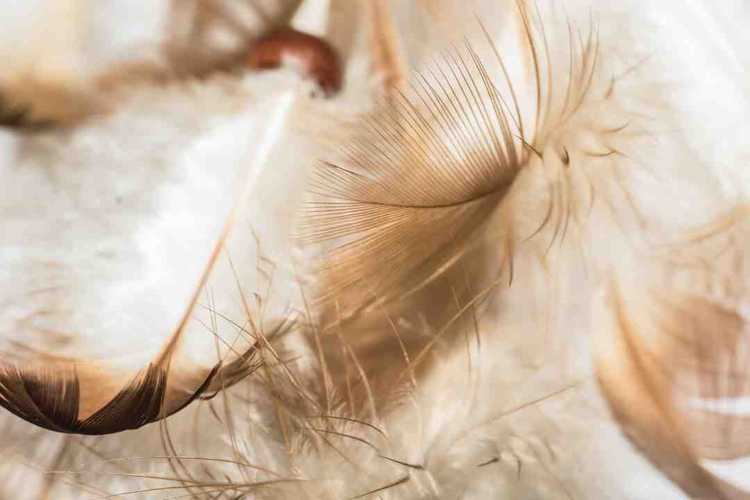 Comment creer son propre livre ?