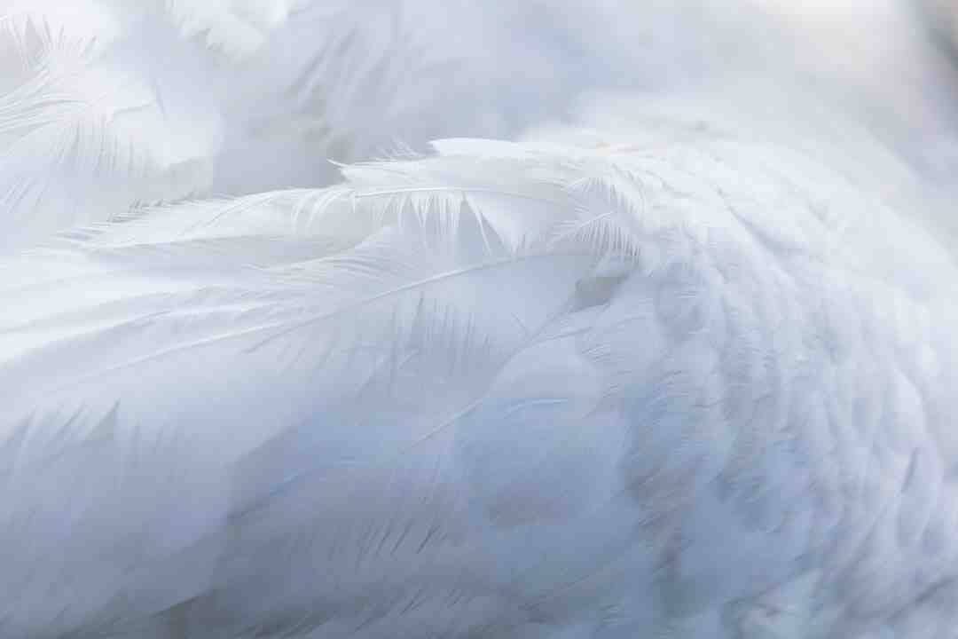 Est-ce que tout le monde peut écrire un livre ?