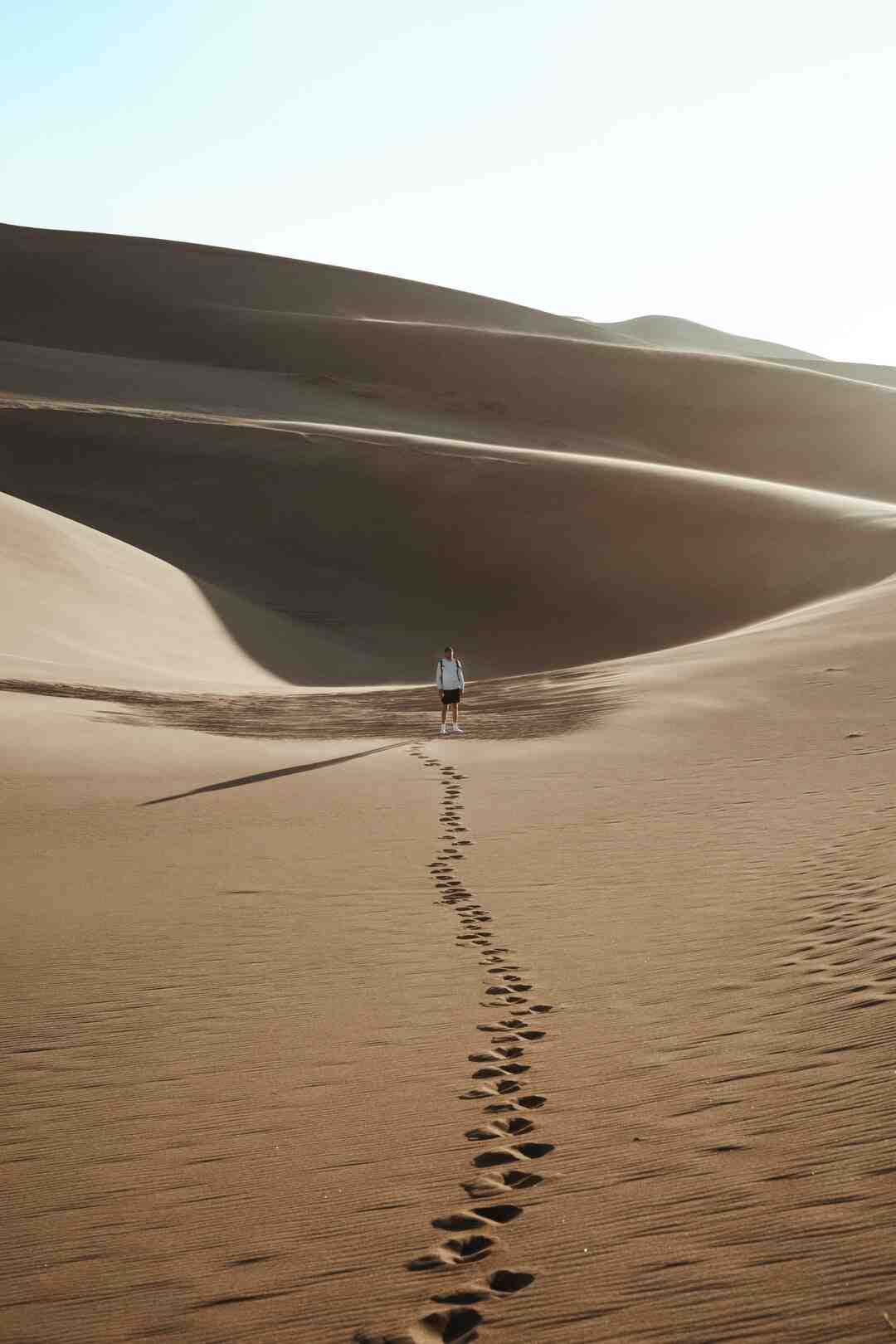 Quand sort Lost Ark en France ?