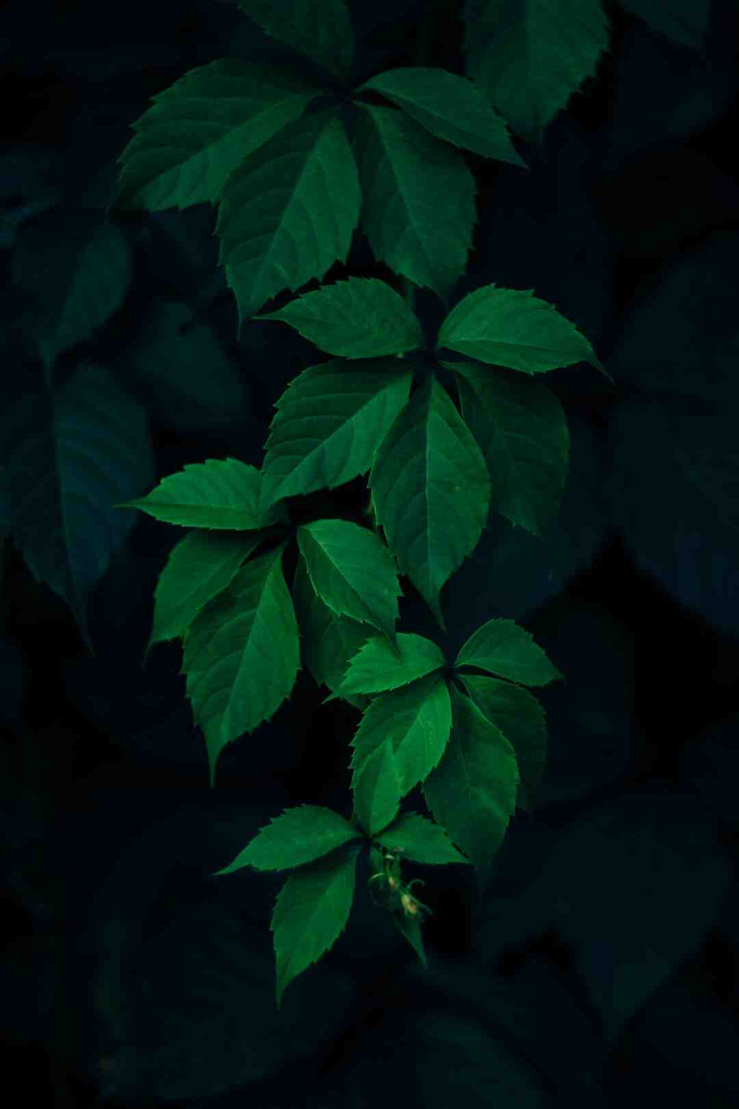 Is Elden Ring more difficult than bloodborne?