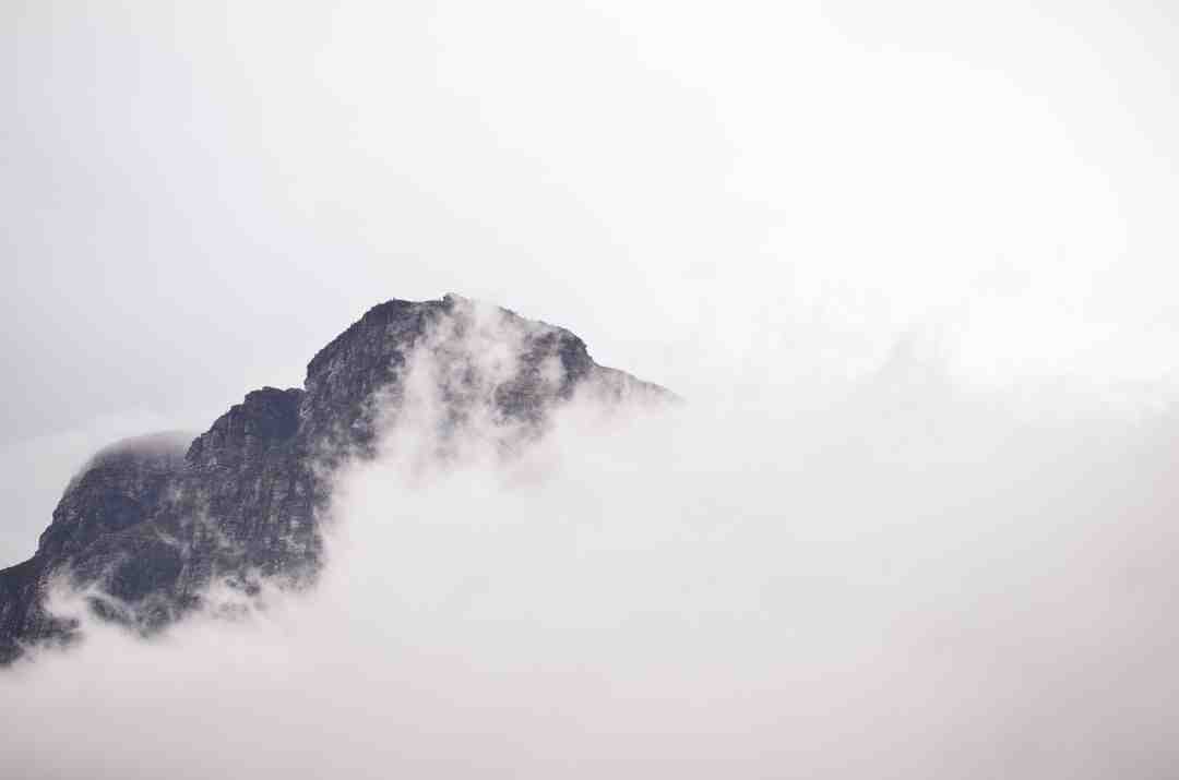 Quand est la saison 12 Apex ?