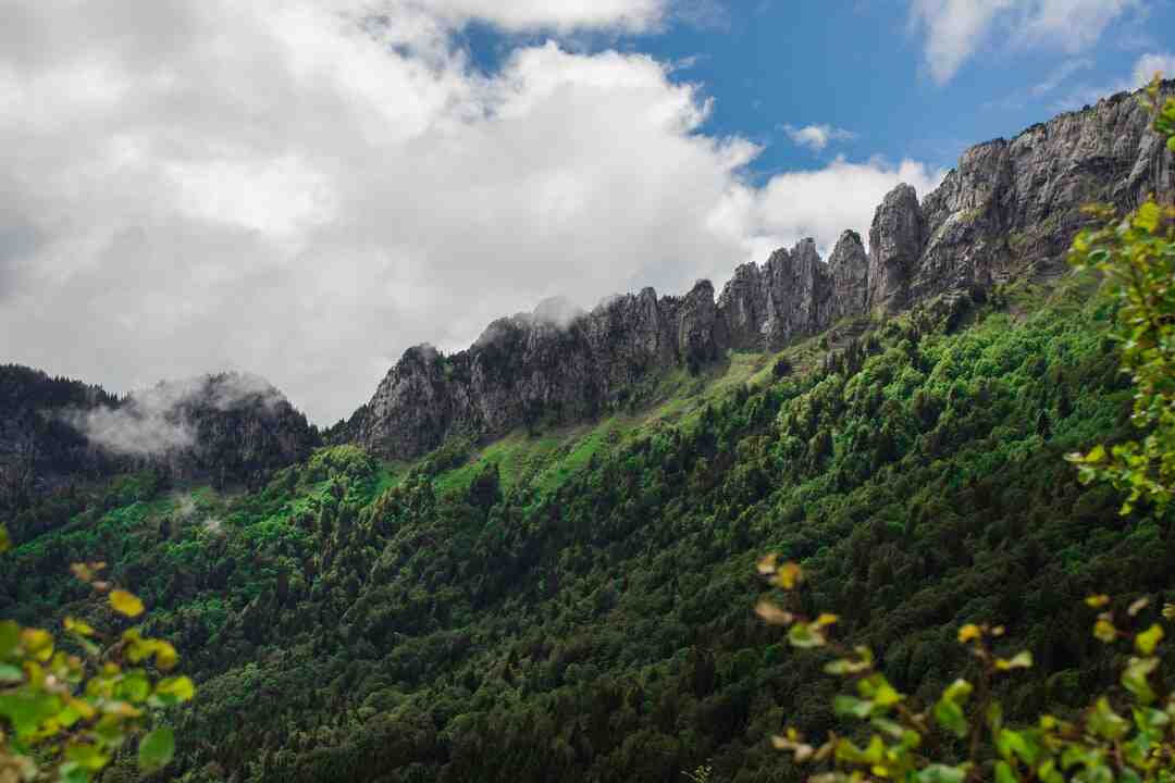 Quel perso prendre sur Apex ?