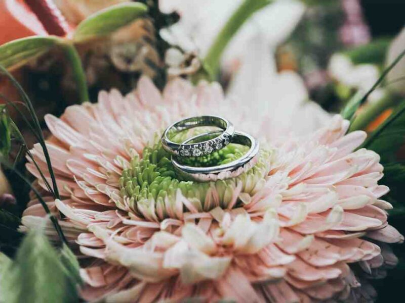 Elden ring collector