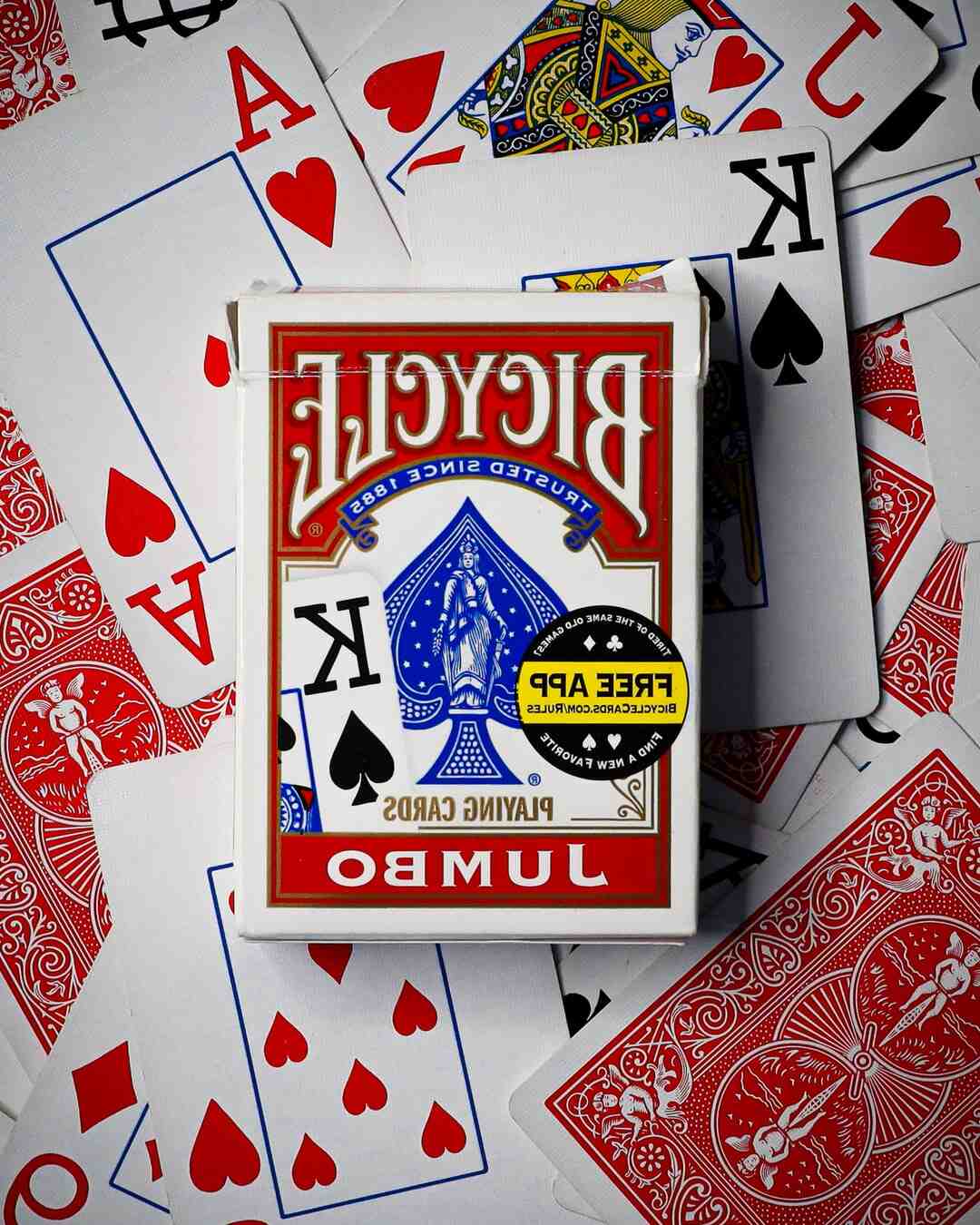 Où trouver la reine des cartes ff8 ?