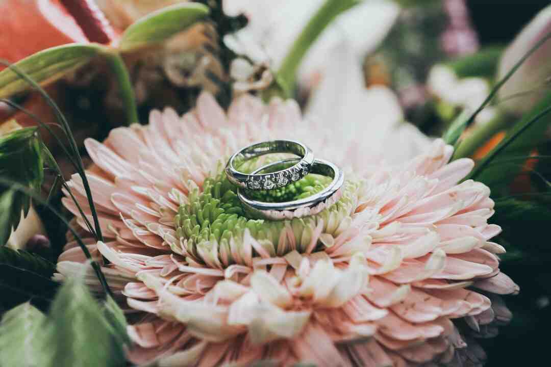 Will there be a Sekiro 2?