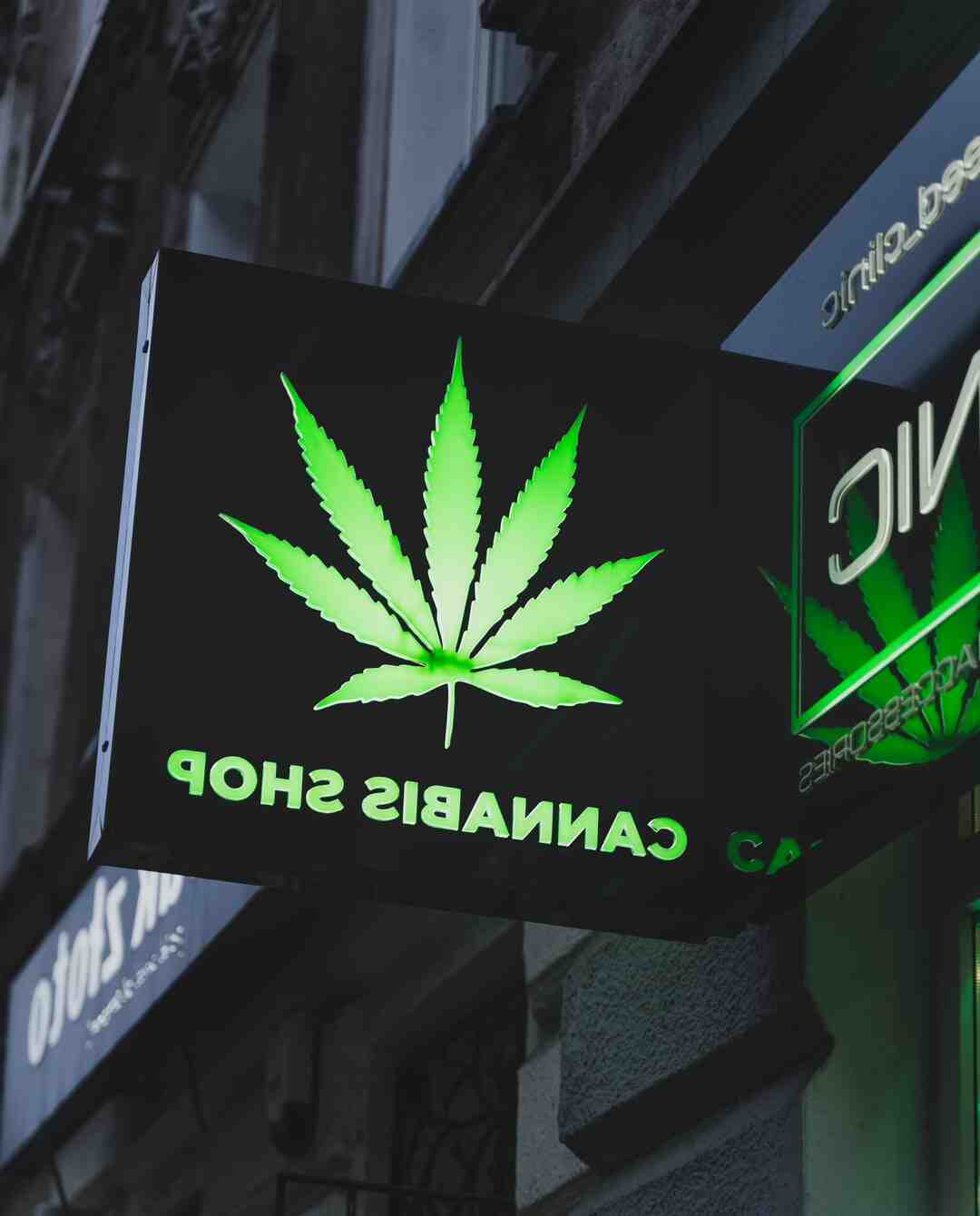 How can I create a logo?