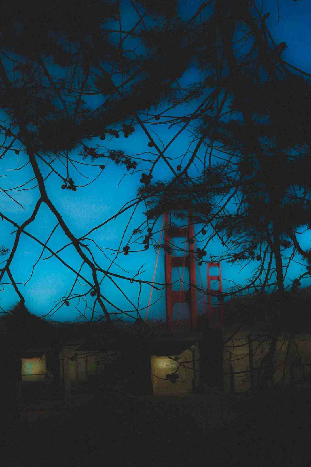 Quand la PS5 sera disponible en 2021 ?