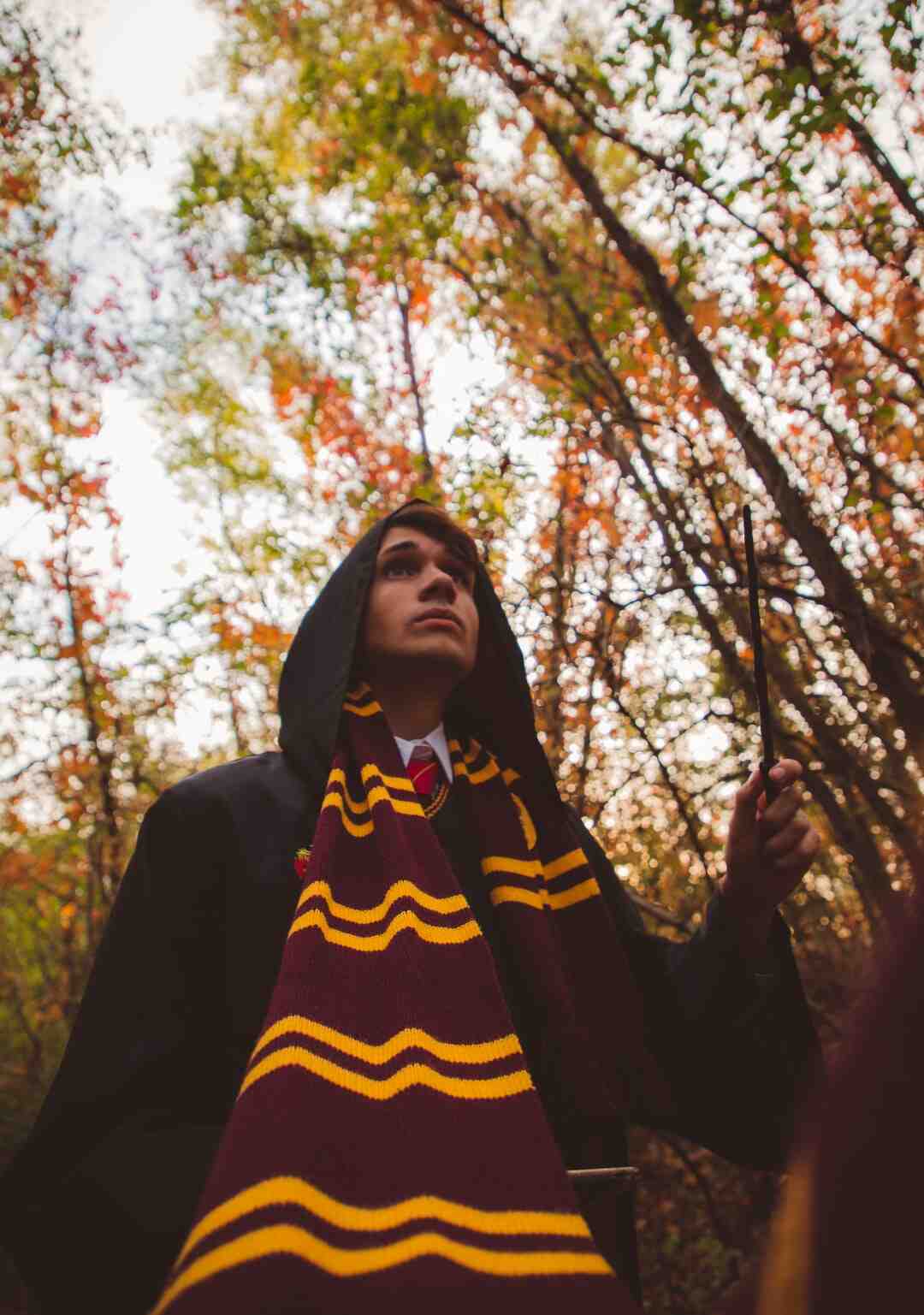 Quand sort le prochain jeu Harry Potter ?