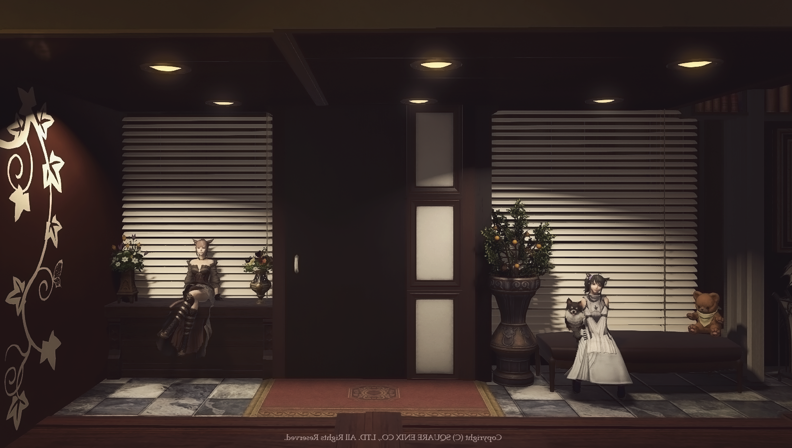 Comment jouer occultiste FF14 ?