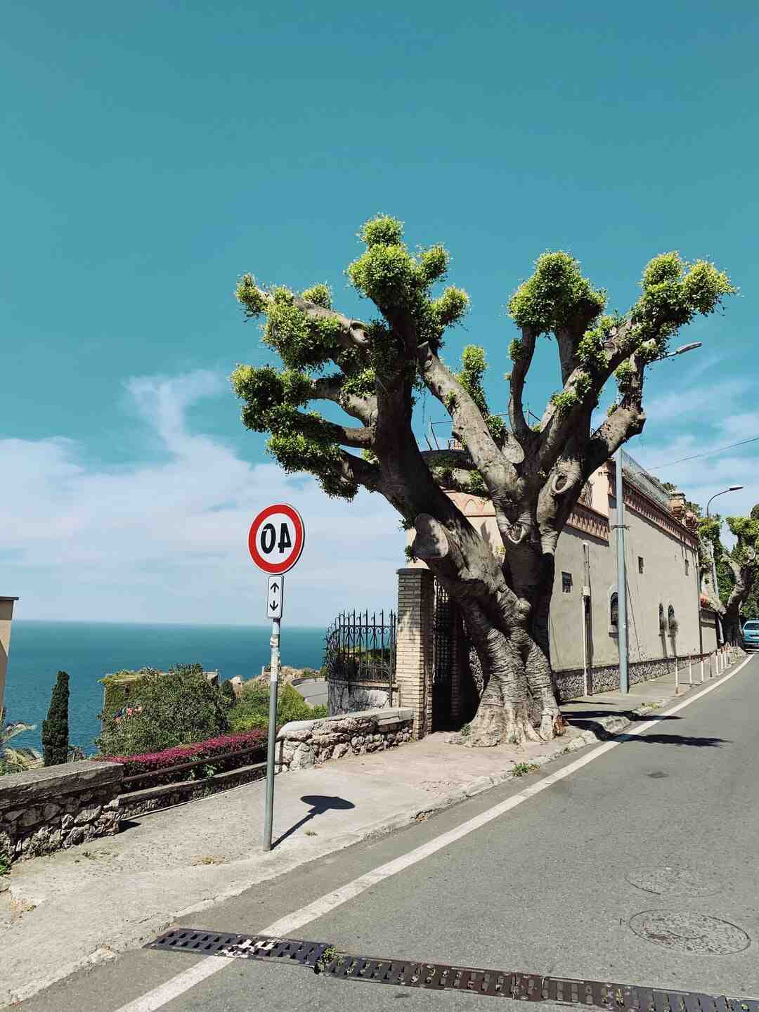 Comment ranger Gluigi dans Luigi ?