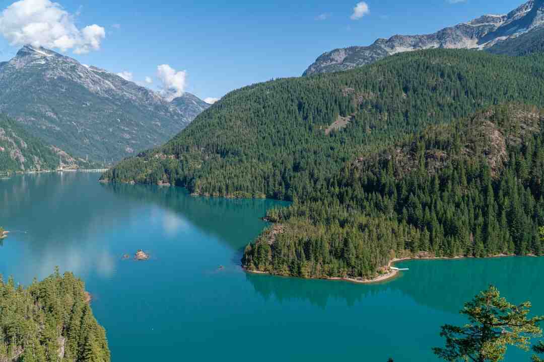 Is Diablo Immortal still coming out?