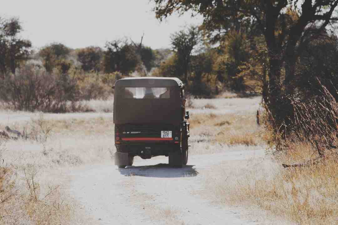 Quelle est la meilleure marque de camion ?