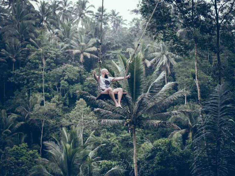 How do you play AP jungle on twitch?