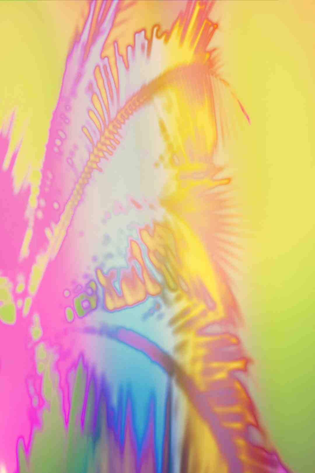 Is tails a boy or a girl?