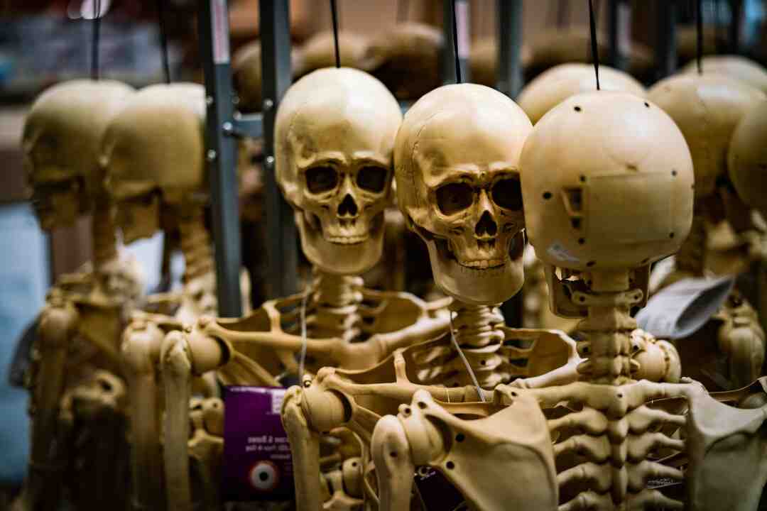 Quand le PS Plus sera gratuit ?