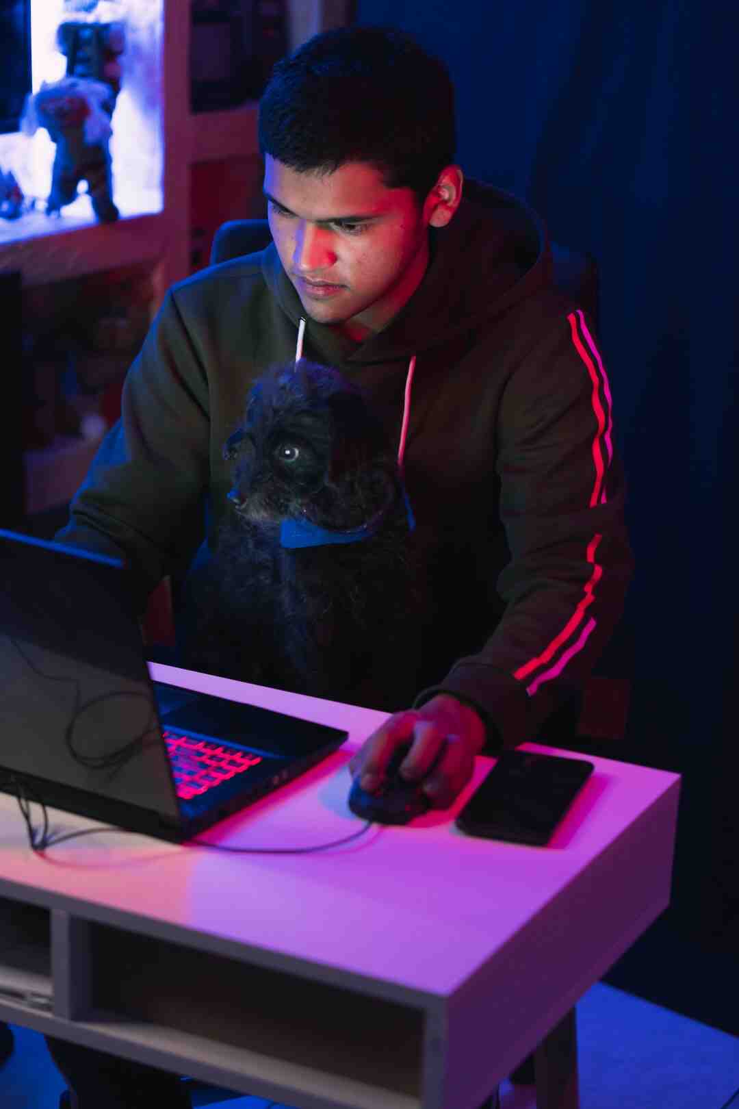 Quelle est la fortune de Squeezie ?