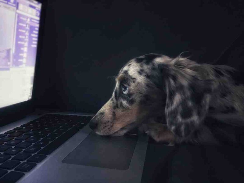 Quelle touche Shift sur le clavier ?