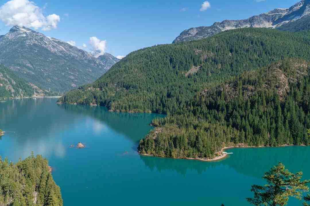 What is the issue with Diablo Immortal?