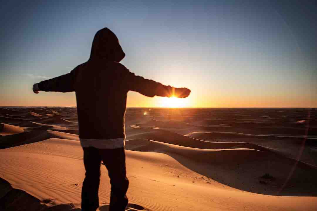 Comment avoir des joyaux MH Rise ?