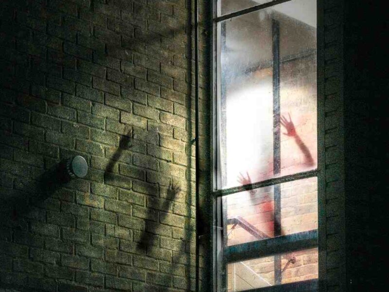 Do you have to be Ada in Resident Evil 4?