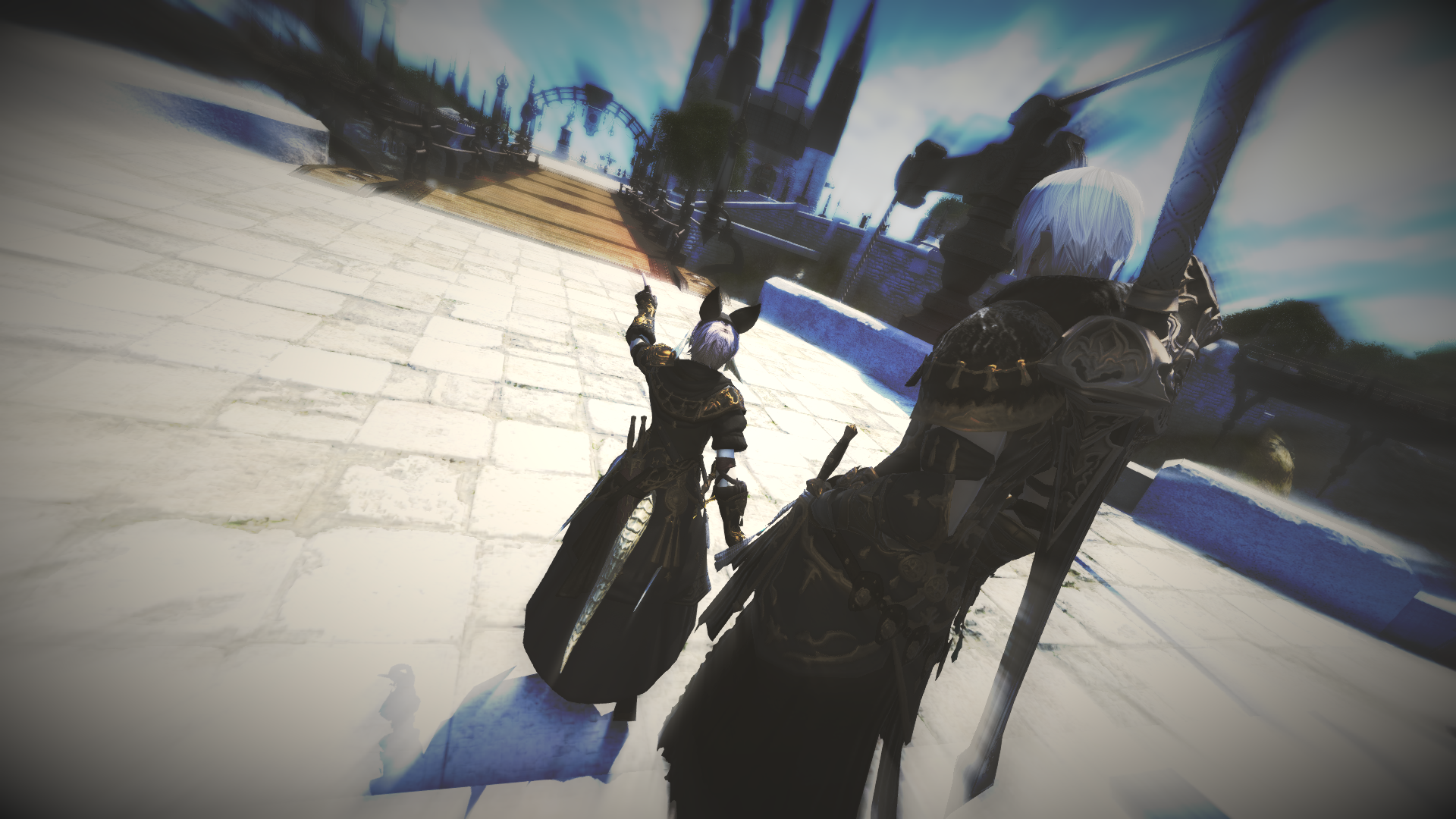 Où acheter la licence chocobo ?