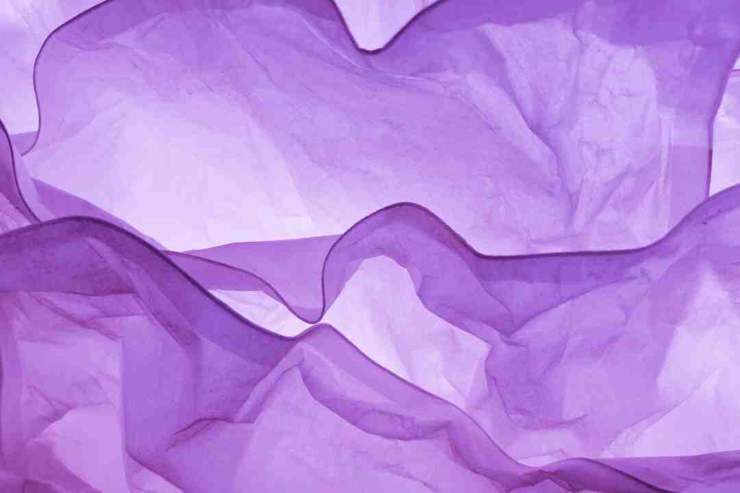 Qui a écrit la couleur pourpre ?