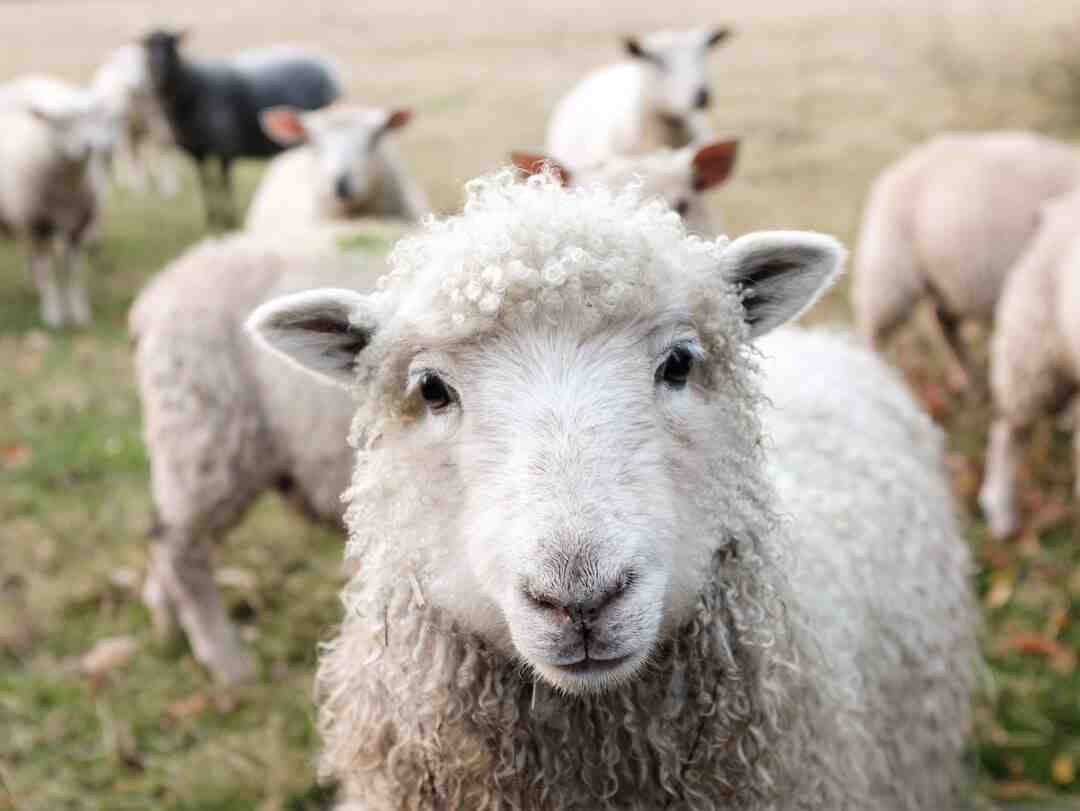 What type of farm should I start?