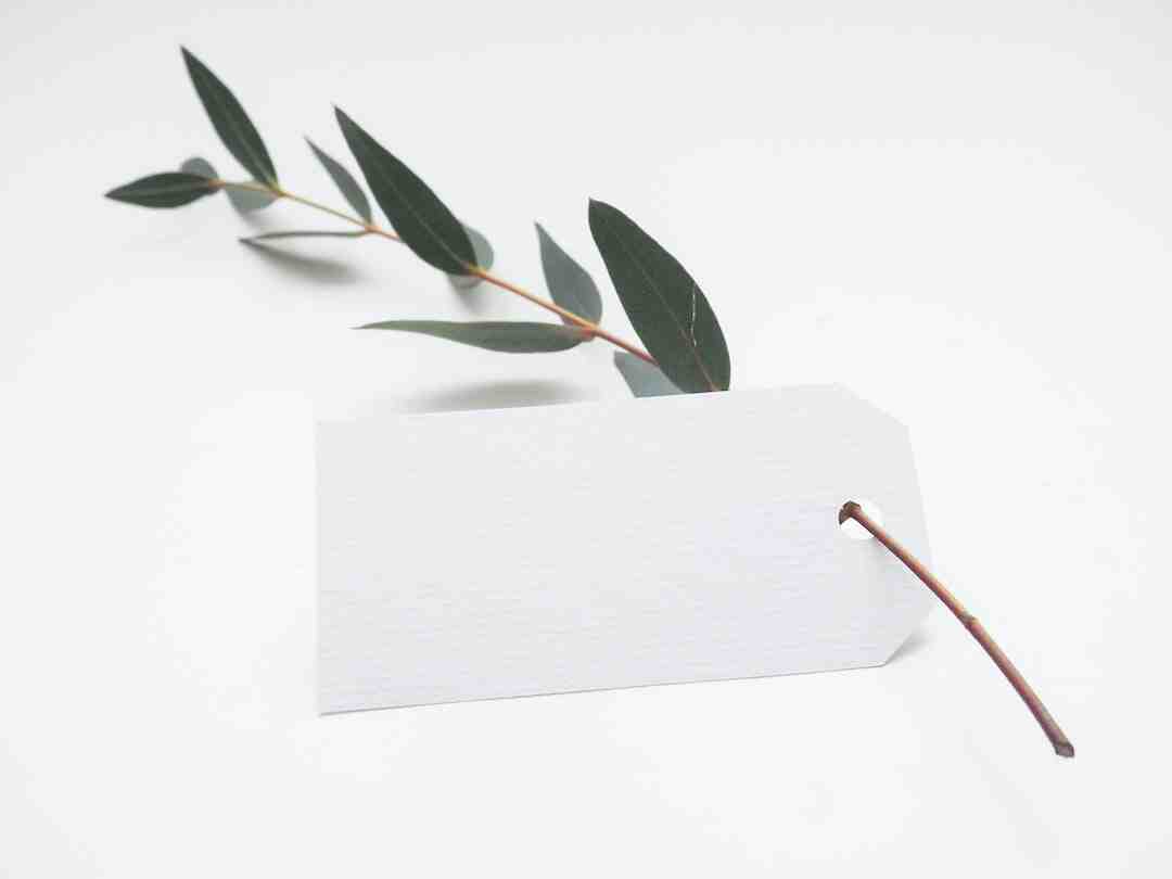 Comment avoir le PS+ sur PS4 ?