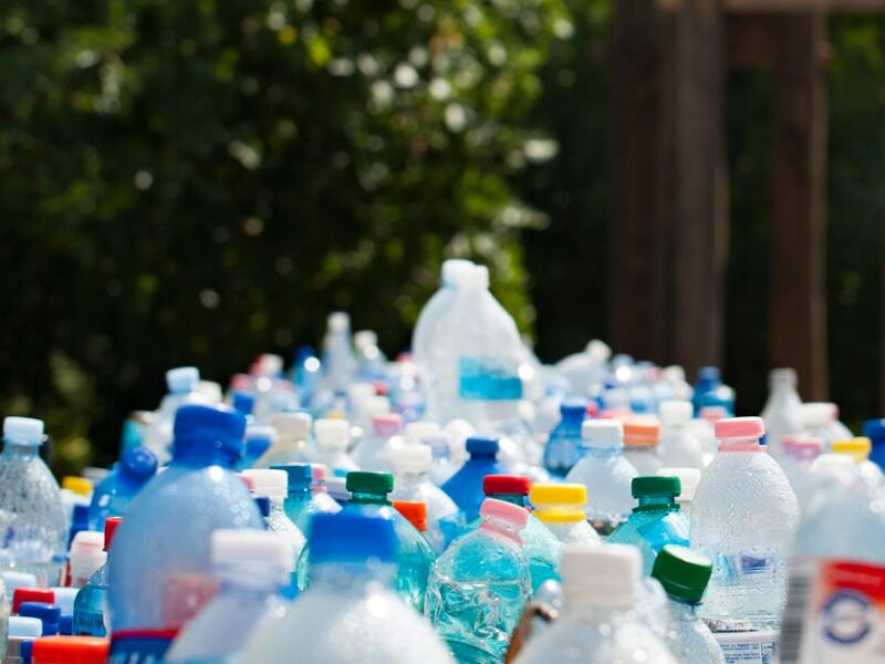 la montagne de déchets d’Alta : un défi environnemental à relever