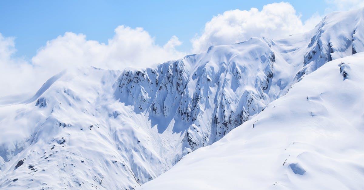 découvrez tout sur les glaciers : leur formation, leur rôle dans l’écosystème, et l’impact du changement climatique sur ces majestueuses étendues de glace.