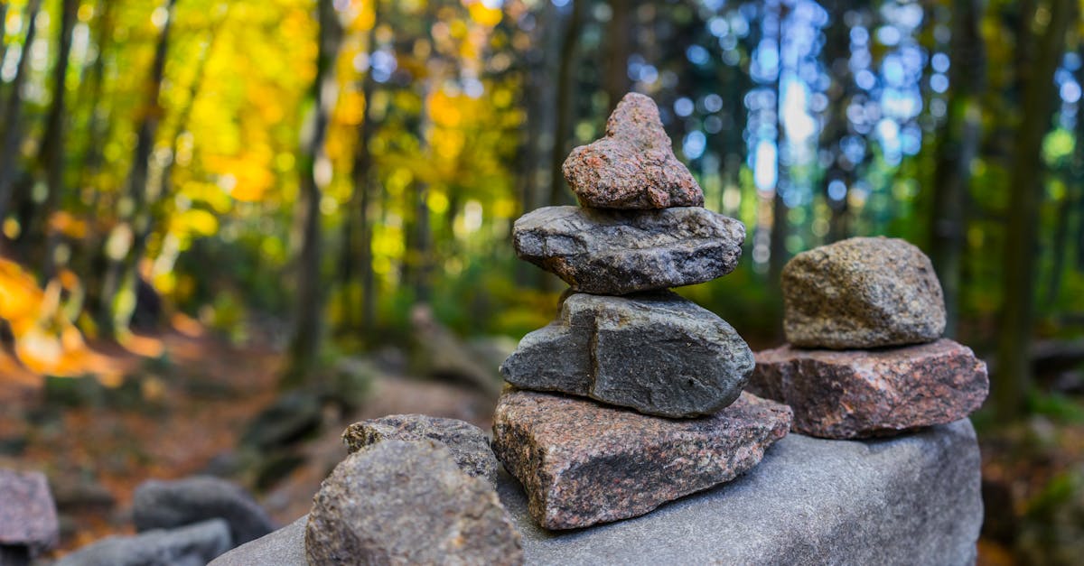 découvrez la balance idéale pour peser vos aliments, objets ou ingrédients avec précision. conseils d'achat, avis, et comparatif pour choisir la meilleure balance adaptée à vos besoins quotidiens.