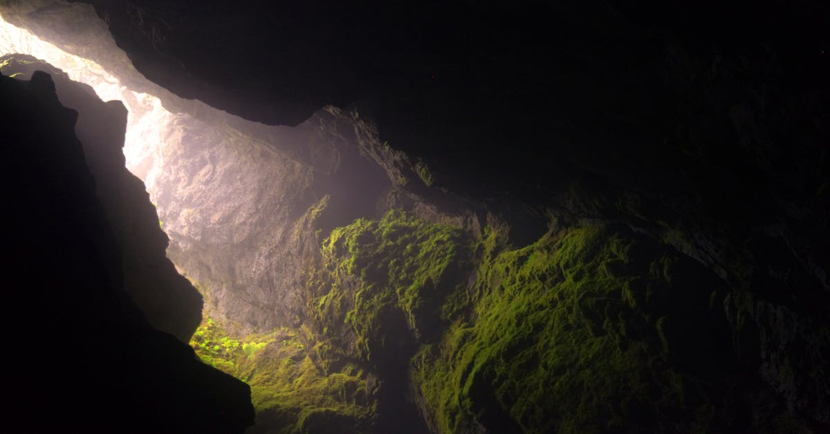 découvrez les trésors cachés de la caverne d'elric : artefacts mystérieux, objets rares et histoires fascinantes. plongez dans un univers légendaire où chaque trouvaille raconte une aventure incroyable.
