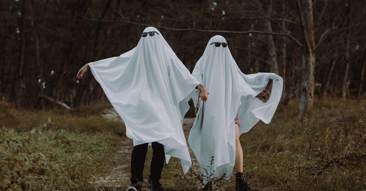 découvrez l'univers fascinant des fantômes : histoires mystérieuses, légendes effrayantes et enquêtes paranormales pour les amateurs de sensations fortes.