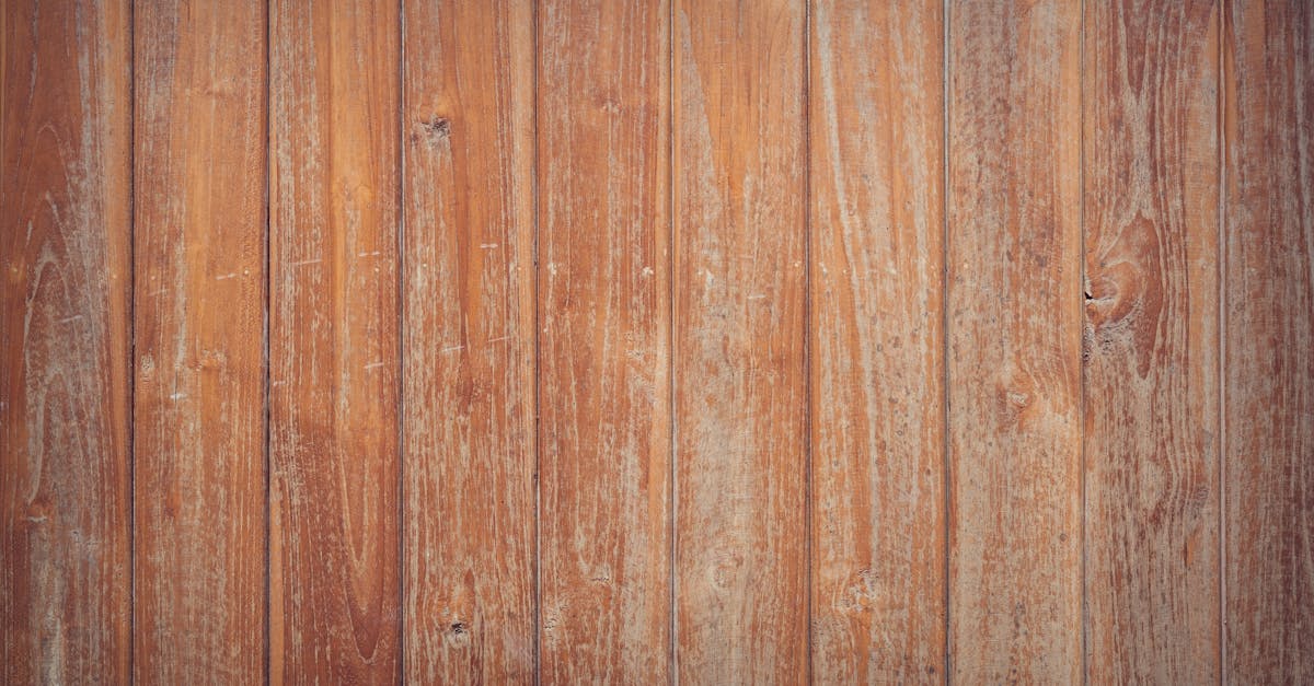 découvrez chijiko, une marque innovante alliant tradition et modernité pour des créations uniques et inspirantes.