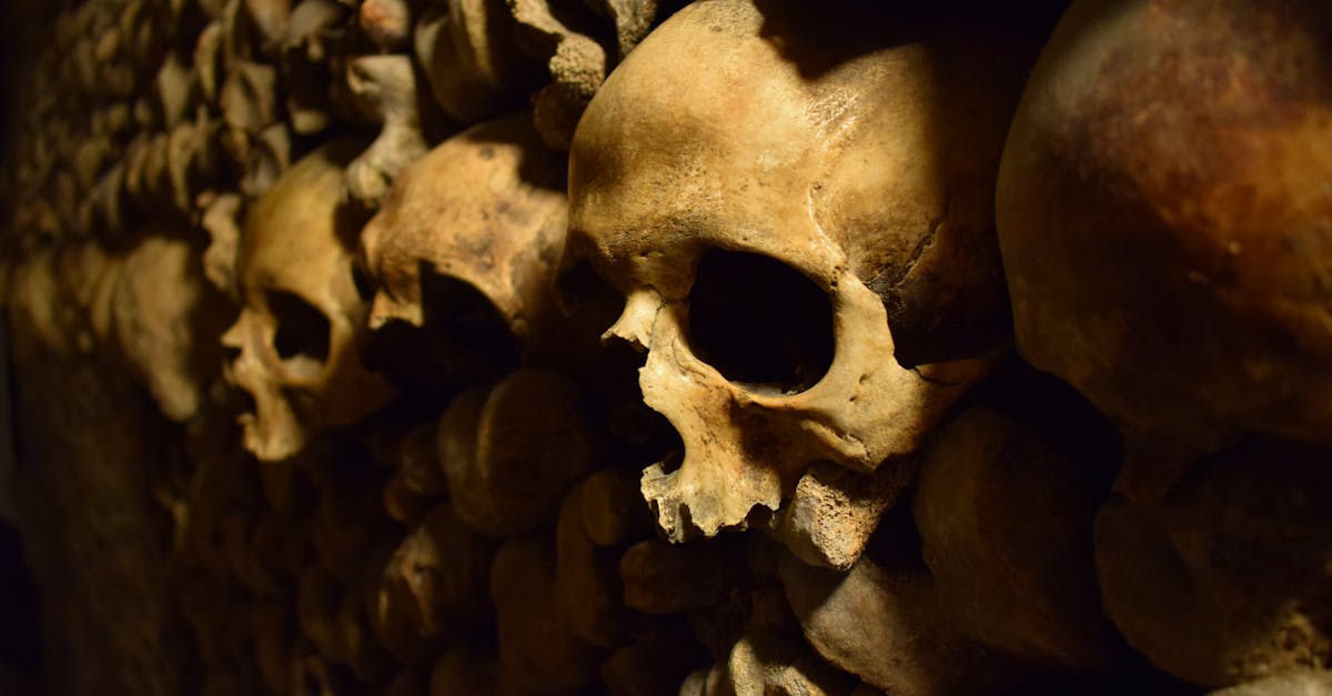 découvrez les mystères des grottes hantées, lieux chargés d'histoires mystérieuses et de légendes fascinantes qui éveillent la curiosité et l'aventure.