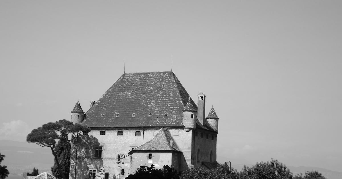 découvrez tout sur le sanatorium : lieu de soins spécialisés pour la convalescence et le traitement de maladies chroniques, offrant un cadre de repos et de récupération optimale.