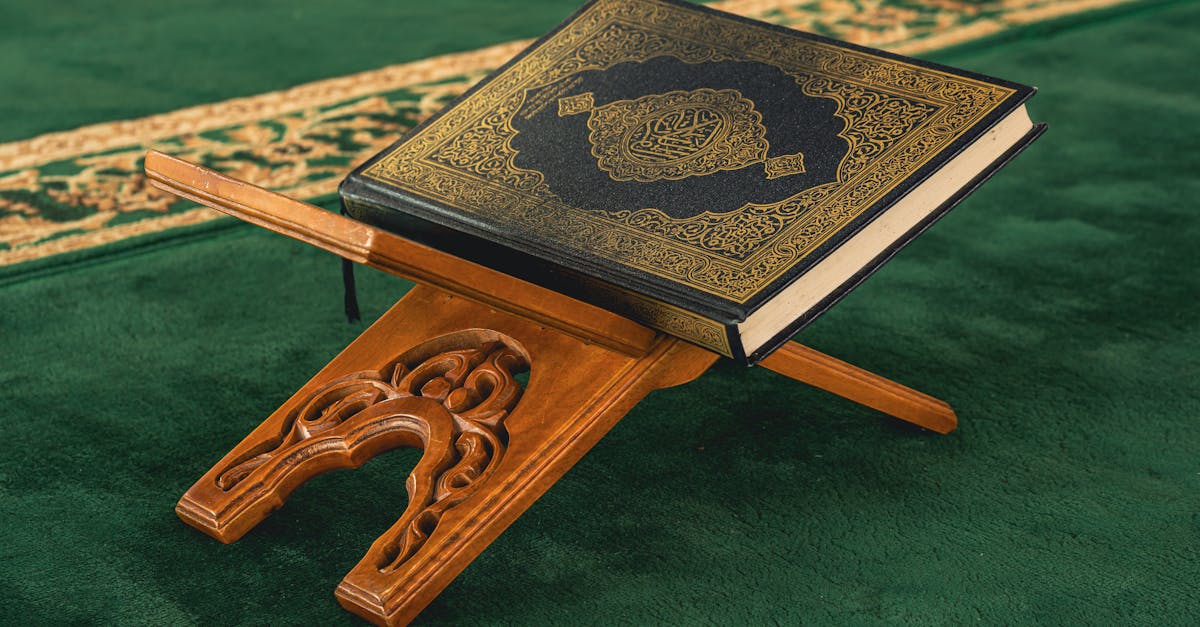 découvrez assassin's creed, une série de jeux vidéo d'action-aventure où l'histoire rencontre l'infiltration et le combat. plongez dans des époques fascinantes et devenez un maître assassin.