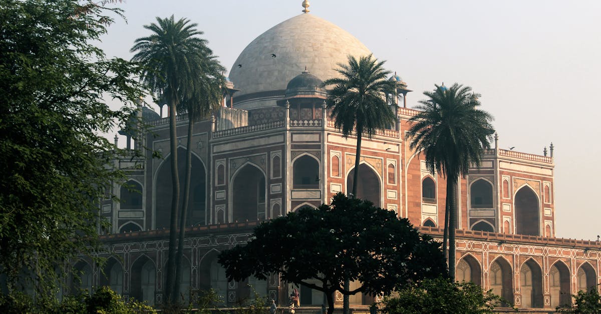 découvrez la compilation tomb raider, réunissant les aventures emblématiques de lara croft pour des heures d'exploration, d'action et de mystère.