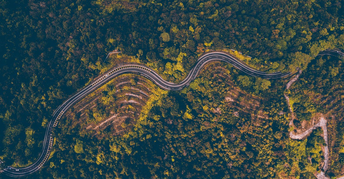découvrez le velocidrome, un lieu incontournable pour les passionnés de cyclisme, offrant des pistes modernes et des événements sportifs excitants.