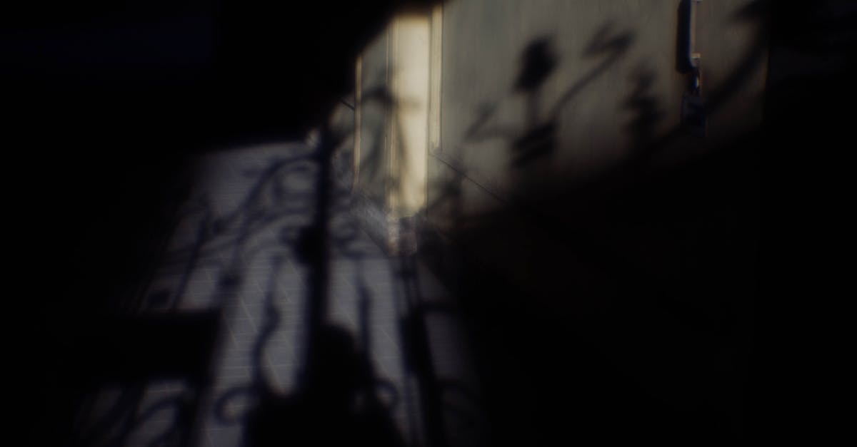 découvrez le clair-obscur, technique artistique jouant sur les contrastes de lumière et d'ombre pour créer profondeur et émotion dans les œuvres.