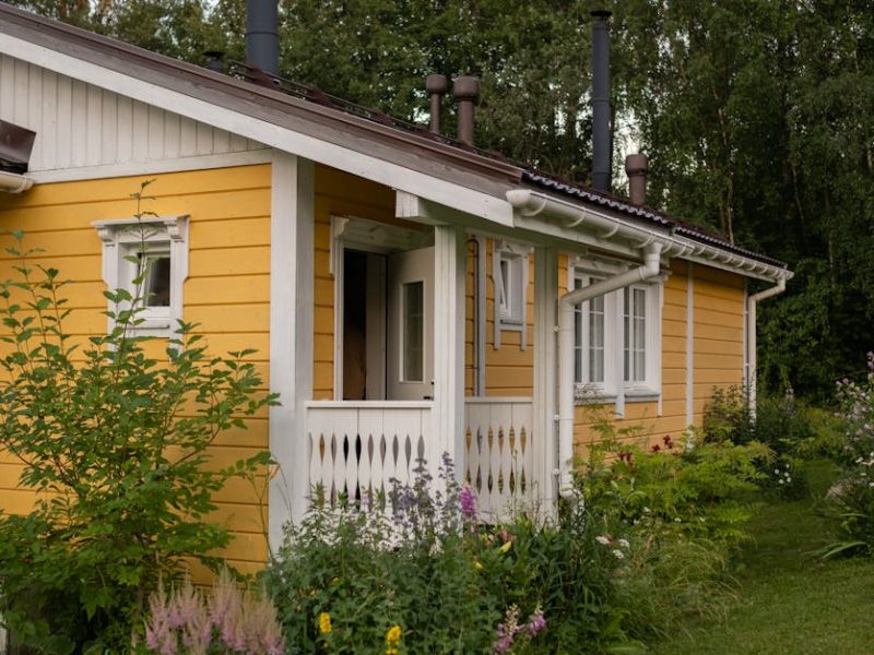 Petite cabane : un havre de simplicité et de charme