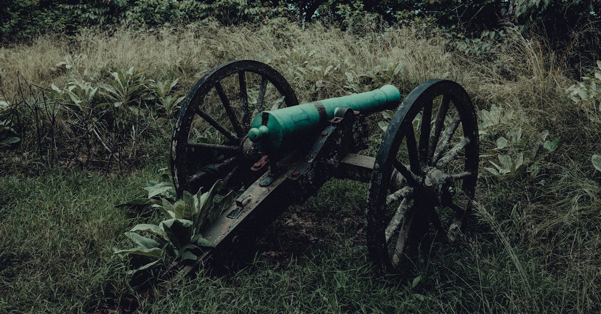 découvrez tout sur le obusier (howitzer) : son histoire, son fonctionnement et son utilisation dans les conflits modernes.