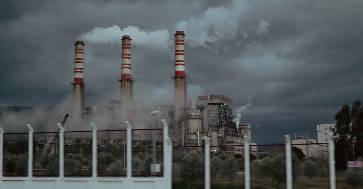 découvrez tout sur les zones à faibles émissions : règlementations, avantages pour l'environnement et conseils pour circuler sans pollution en ville.
