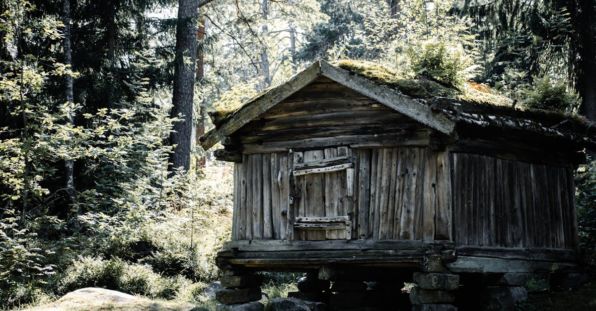 découvrez nos mini cabines compactes et fonctionnelles, idéales pour un séjour confortable en pleine nature ou comme espace de travail cosy.