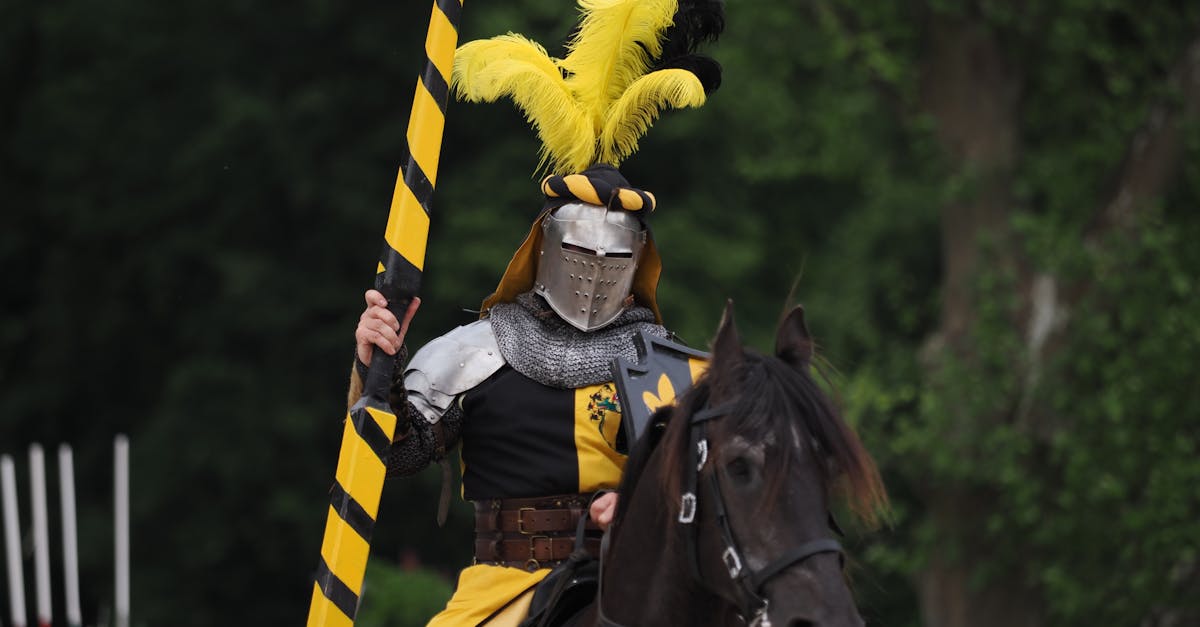 découvrez valiant knight, un héros courageux prêt à défendre le royaume avec bravoure et honneur dans des aventures épiques.