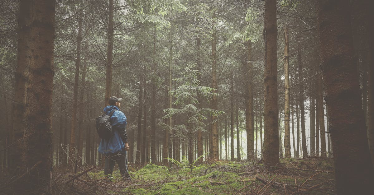 découvrez des aventures passionnantes et inoubliables qui éveilleront votre esprit d'exploration et vous immergeront dans des expériences uniques.