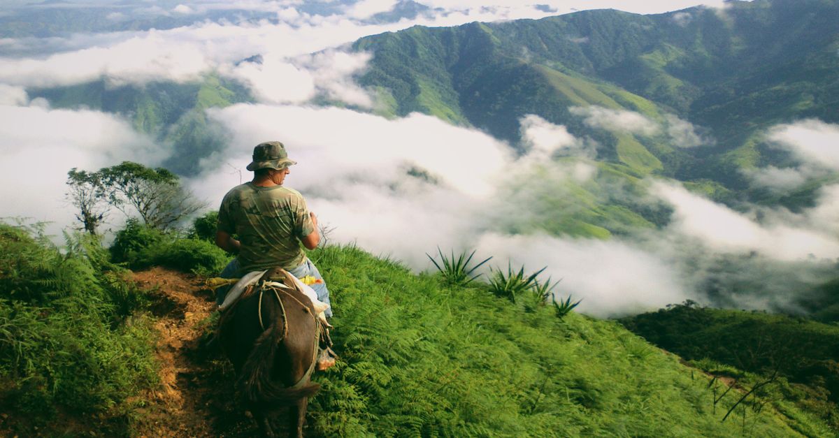 découvrez des aventures inoubliables qui stimulent votre esprit d'exploration et éveillent votre passion pour la découverte.