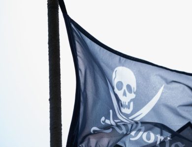 Assassin&rsquo;s Creed Black Flag : Une expérience revisitée et synchronisée