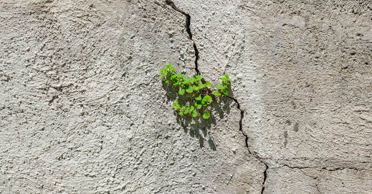 découvrez les avancées révolutionnaires qui changent les perspectives et ouvrent de nouvelles opportunités dans divers domaines.