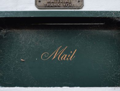 Découvrez &lsquo;Cat Mail Co.&rsquo; : le nouveau jeu vidéo belge où les chats prennent les commandes d&rsquo;un bureau de poste
